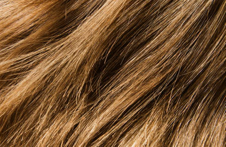 Close-up of long woman hair for texture or background
