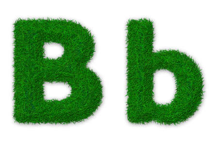 Illustration of capital and lowercase letter B made of grassの写真素材