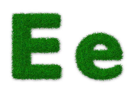 Illustration of capital and lowercase letter E made of grassの写真素材