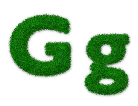 Illustration of capital and lowercase letter G made of grassの写真素材
