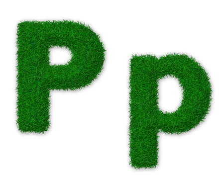 Illustration of capital and lowercase letter P made of grassの写真素材