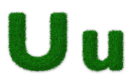 Illustration of capital and lowercase letter U made of grassの写真素材