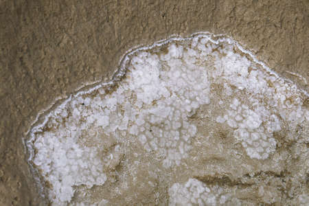Bottom of salty lake Baskunchak on the border of Russia and Kazakhstan