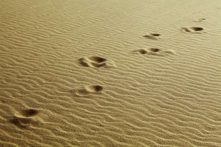 Human footprints in the sand of desertの写真素材