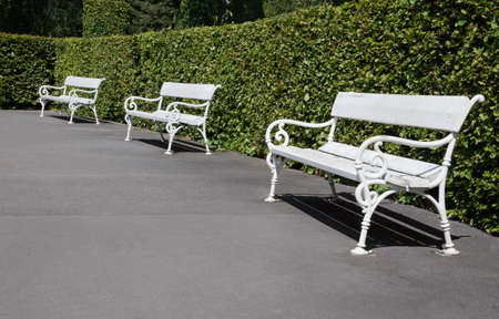 Row of white benches in a parkの写真素材