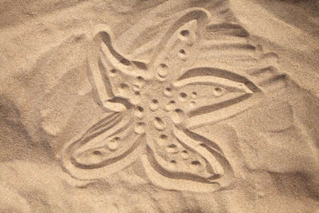 Starfish drawn in the sand in a sunny summer dayの写真素材