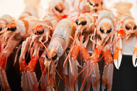 Fresh crawfish on ice in a marketの写真素材