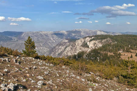 Canyon of river Tara, Montenegro, view from aboveの写真素材