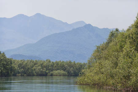 Skadar lake, Montenegro, in a misty morningの写真素材