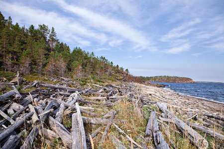 Coast of White sea in summer, northern Russiaの写真素材