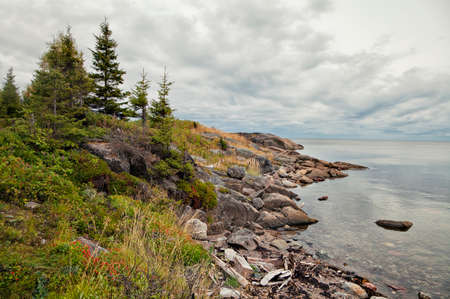 Coast of White sea in summer, northern Russiaの写真素材