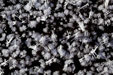 Big snow crystals on the ground, macro shot