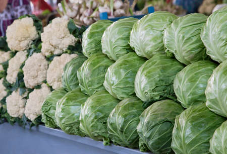 Fresh cabbages and cauliflower at a marketの写真素材
