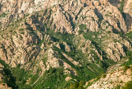 Slope of a mountainの写真素材
