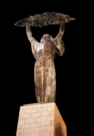 Budapest, HUNGARY - FEBRUARY 15, 2015 - Statue of Liberty in the nightのeditorial素材