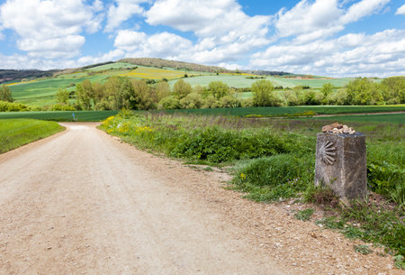 Travelers walk the Camino de Santiago, enjoying vibrant spring fields and scenic views under a blue sky.の写真素材