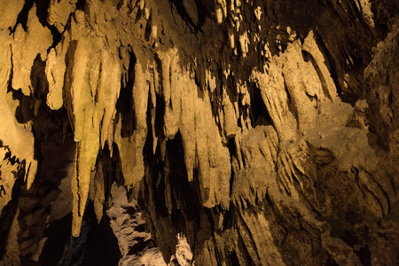 Impressive stalactites and stalagmites within the Betharram caves, illuminated by soft lighting.の写真素材