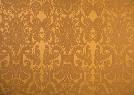 Textile wallpaper in Chambord castle in France