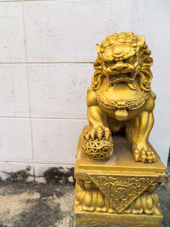 Oriental lion isolated on wall backgroundの写真素材