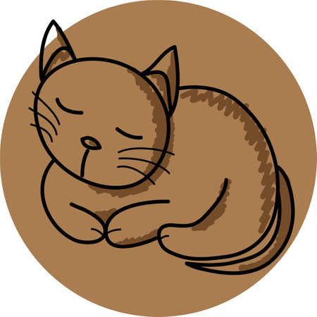 Cat in front of a Brown background のイラスト素材