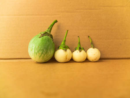 Eggplant on brown paper backgroundの写真素材