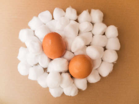 two eggs on cotton bales with brown paper backgroundの写真素材