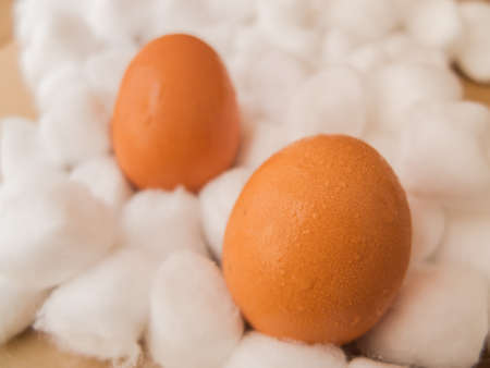two eggs on cotton bales with brown paper backgroundの写真素材