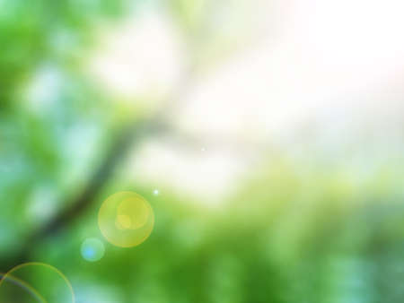 defocused nature tree effect,abstract blur background for web designの写真素材