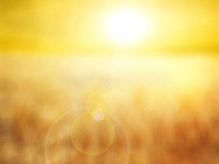 defocused nature light effect,abstract blur background for web design