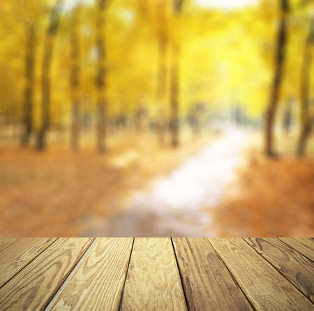 Empty wood table over blurred autumn park with bokeh background, product display template,deck,