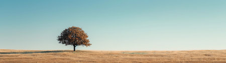 This panoramic image showcases the tranquil beauty of a lone tree on a gentle hill against a clear sky. The warm hues of the tree's autumn leaves contrast with the soft tones of the dried grass, creating a peaceful and harmonious scene. The vastness of the sky and the spaciousness of the landscape evoke a sense of calm and solitude. This minimalist composition highlights the simple elegance of nature and the changing seasons.の素材