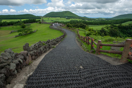 Walking path in Jeju Island, South Korea.の写真素材