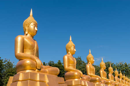 Golden Buddha Statuesの写真素材