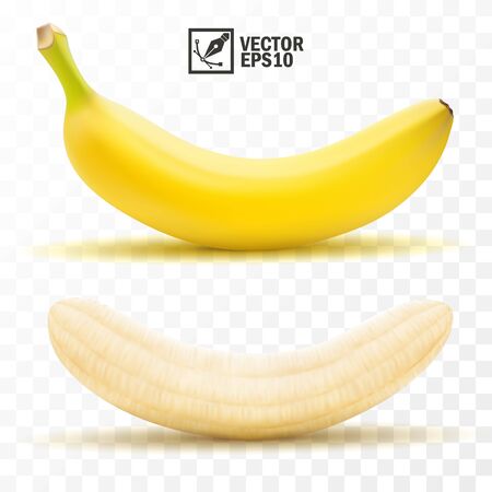 3d realistic isolated vector peeled and whole banana fruitのイラスト素材