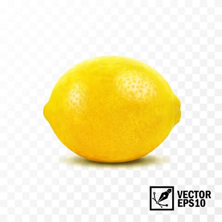 Lemon fruit, 3D realistic isolated vector, editable handmade meshのイラスト素材