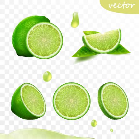realistic vector set of elements, whole lime, sliced lime, drop lime oil, leavesのイラスト素材