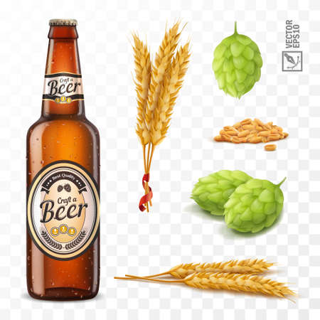 3d realistic set for beer, ears and grains of wheat, hop cones, bottle brown beer with labelのイラスト素材