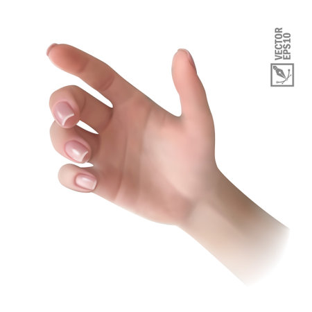 3d realistic vector hand holding something for advertisingのイラスト素材
