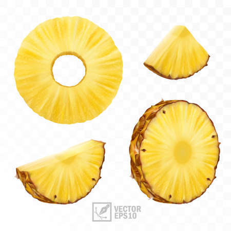 3d realistic isolated vector pineapple set, pineapple circle round pieces and pineapple slices and a halfのイラスト素材