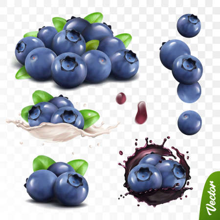 3D realistic blueberry set, lying heaps of berries with leaves, falling bilberries, splash of milk or yogurt, splash of juice with berriesのイラスト素材