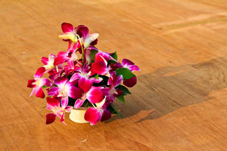 Orchid on wooden boardの写真素材