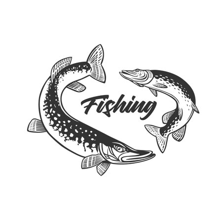 Monochrome illustration with a fish logo for design on a fishing theme.のイラスト素材
