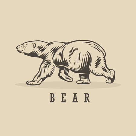 Vector bear illustration. Monochrome illustration with a bear.のイラスト素材