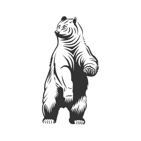 Vector bear illustration. Black and white vector object.のイラスト素材