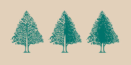 Tree icon with different amount of leaves. The image of the correct geometric shape.のイラスト素材