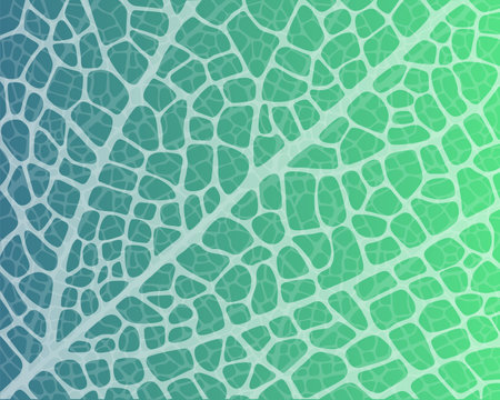 Macro texture of a tree leaf. Monochrome illustration.のイラスト素材