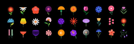Collection of spring colorful flowers. Arranged floral set of wildflower, leaf branch, foliage.のイラスト素材