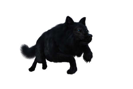 Black Dire Wolf running. 3d illustration isolated on white background,