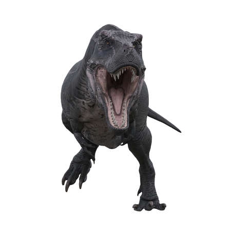 Tyrannosaurus Rex runing towards the camera aggressively with mouth open, 3D illustration isolated...