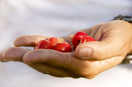 Person holding wild cherries in her hand before her body. Shallow DOFの写真素材